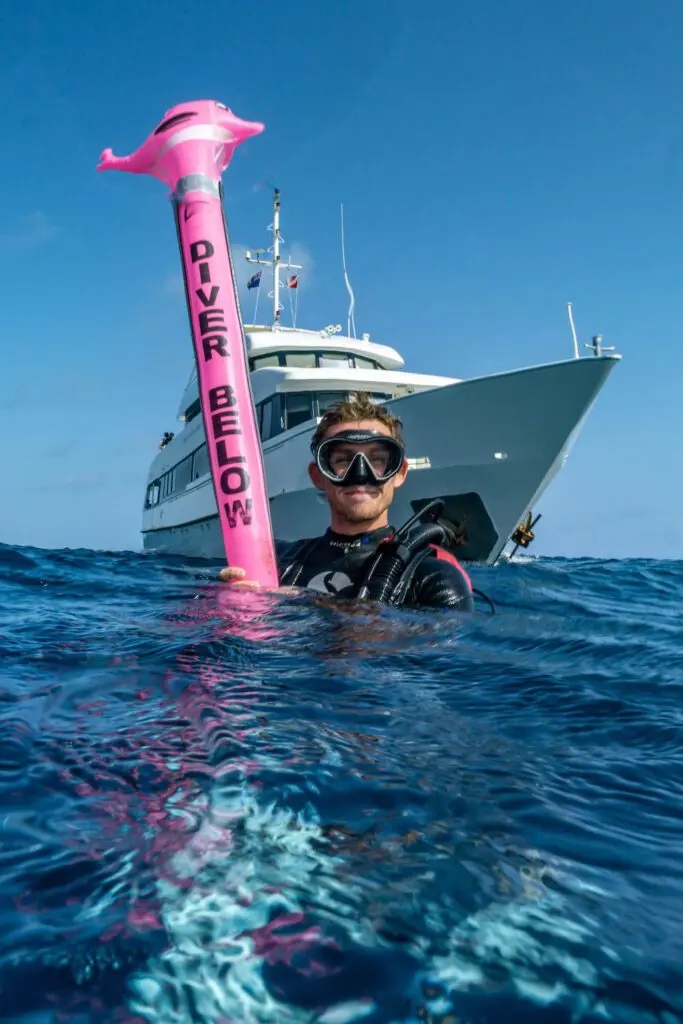 Protecting Coral, One Dive at a Time. | Explorer Ventures Fleet® TC Reef Fund RumPowered Research East Caicos 2025 Pat Photos DSC00674 | Explorer Ventures Fleet® Liveaboard Diving