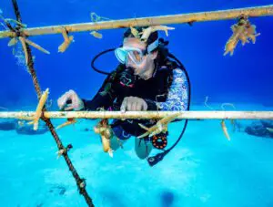 TC Reef Fund - RumPowered Research - East Caicos 2025 Pat Photos_DSC01432