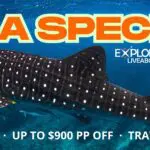 DEMA Specials 2025 - Explorer Ventures Liveaboard Fleet