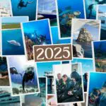 2025 Wrap up- Social Moments EV Community