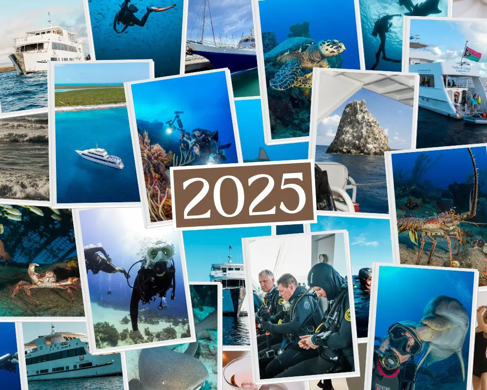 Top Social Moments of 2025: What Resonated with the Explorer Ventures Community | Explorer Ventures Fleet® 2025 Wrap up- Social Moments EV Community