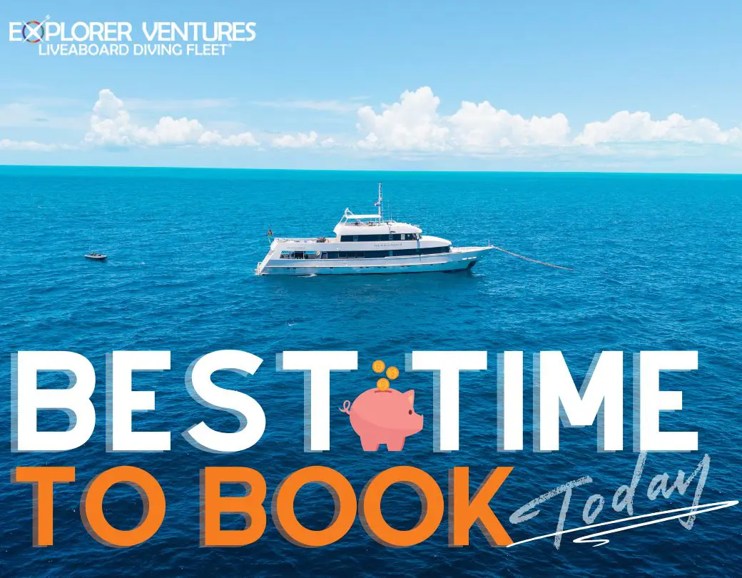 Biggest Savings Available Now: Prices Change After January 31 | Explorer Ventures Fleet® https://www.explorerventures.com/year-of-savings-dive-liveaboard-specials/