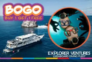 Bogo Caribbean Explorer II 2026
