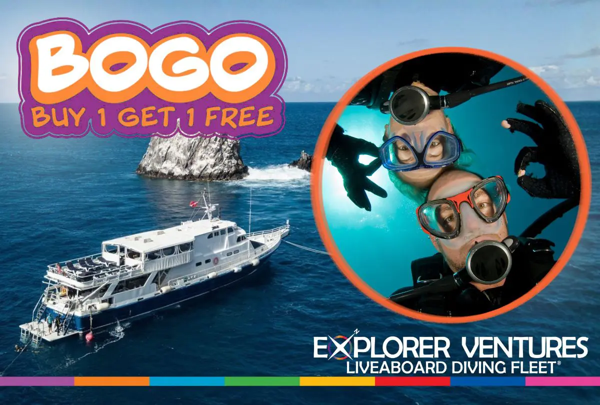 Bogo Caribbean Explorer II 2026