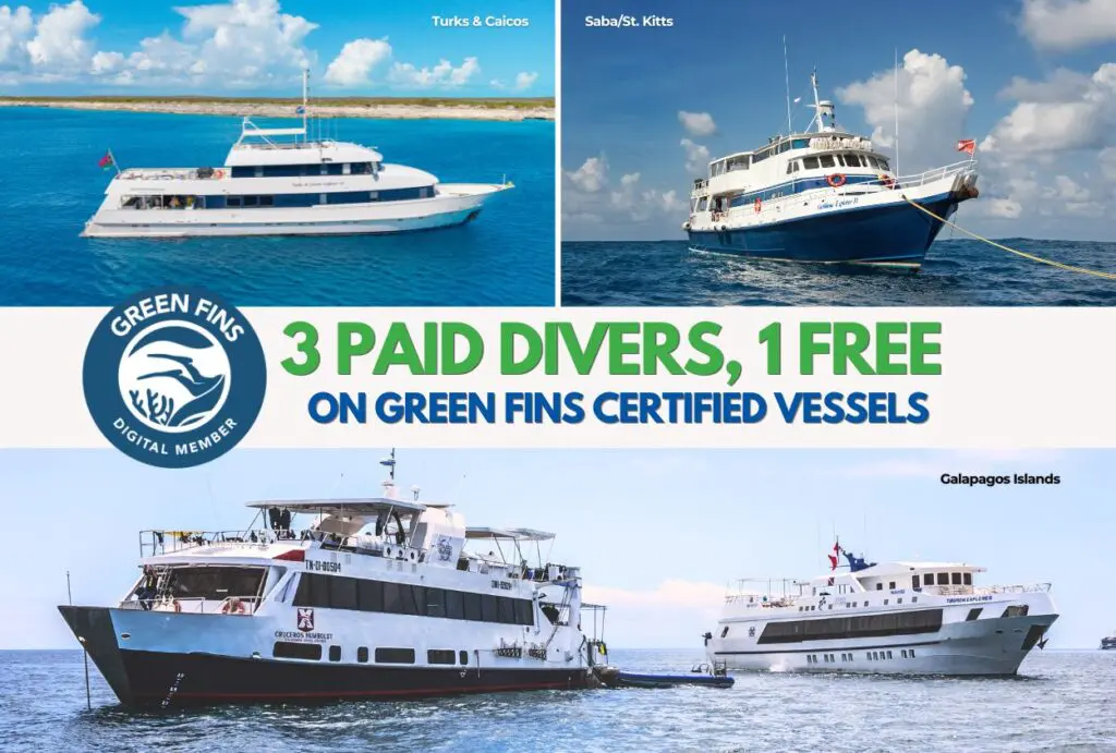 Green Fins Earth Day Special