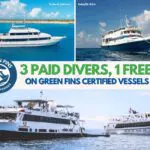 Green Fins Earth Day Special