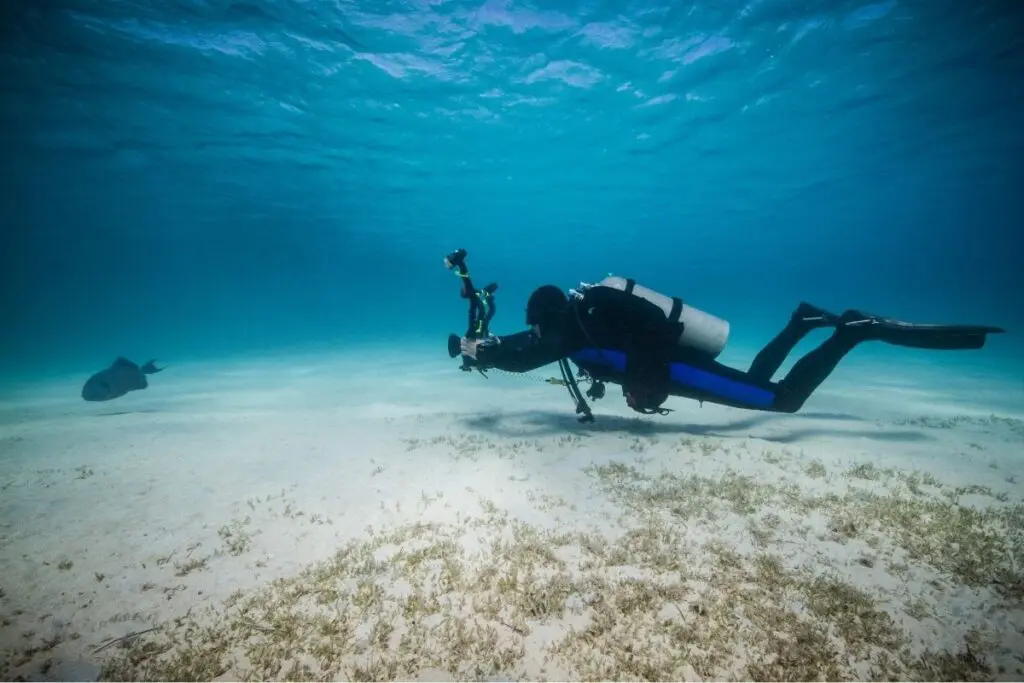 Sustainability at sea - Great buoyancy - wildlife mindfulness. Small changes, bit impact.