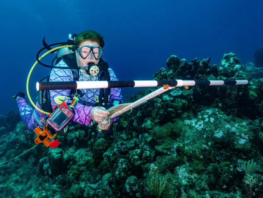 From Research Trip to Conservation Community: RumPowered Research® in East Caicos | Explorer Ventures Fleet® DSC02547 | Explorer Ventures Fleet® Liveaboard Diving