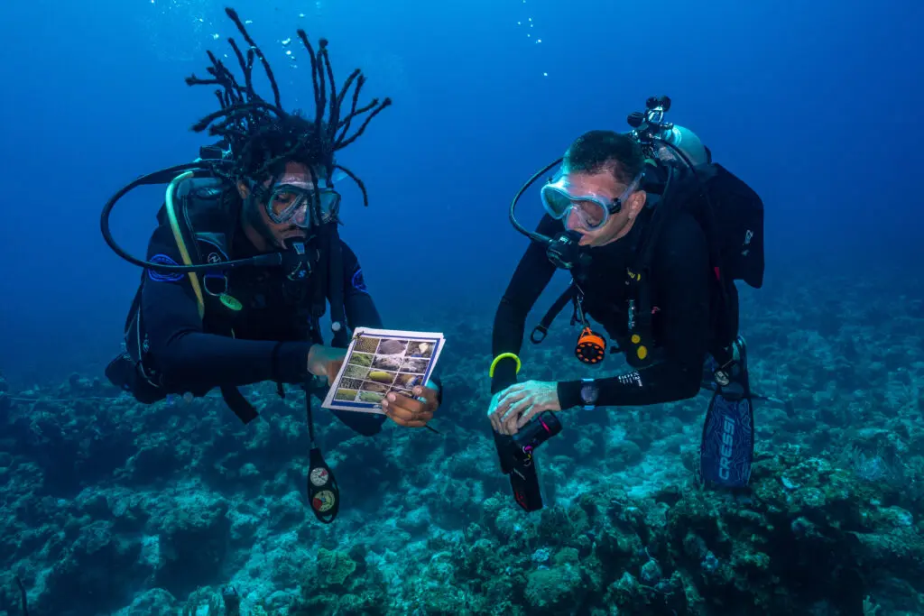 From Research Trip to Conservation Community: RumPowered Research® in East Caicos | Explorer Ventures Fleet® DSC02772 | Explorer Ventures Fleet® Liveaboard Diving