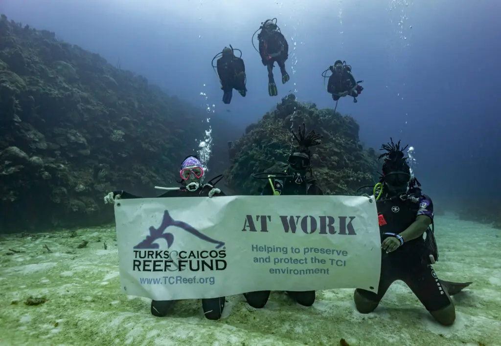 From Research Trip to Conservation Community: RumPowered Research® in East Caicos | Explorer Ventures Fleet® DSC03042 1 | Explorer Ventures Fleet® Liveaboard Diving
