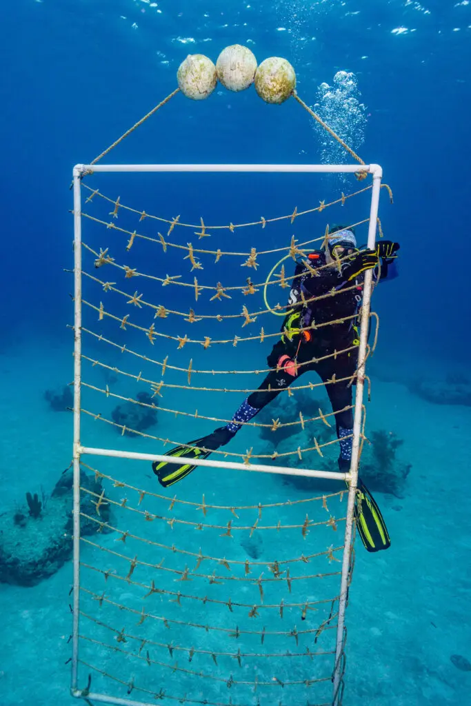 From Research Trip to Conservation Community: RumPowered Research® in East Caicos | Explorer Ventures Fleet® DSC03505 | Explorer Ventures Fleet® Liveaboard Diving