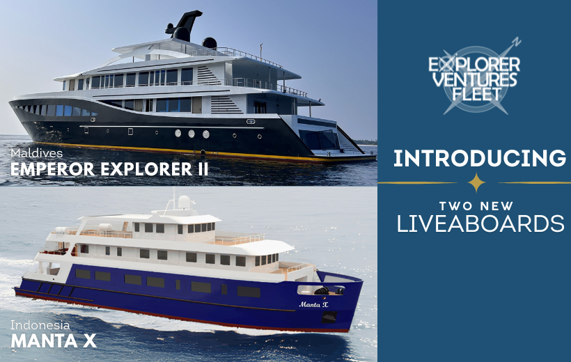 Explorer Ventures Expands the Global Fleet with Two New Liveaboards | Explorer Ventures Fleet® Two New Liveaboards expand Explorer Ventures Fleet