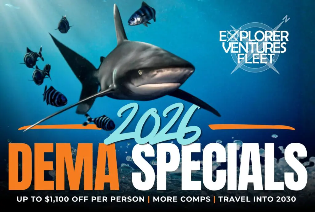 DEMA Specials 2026