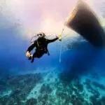 Derek Phillips - Turks & Caicos Explorer II. Beyond Provo Diving