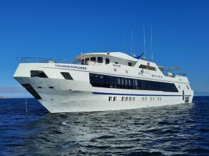 Tiburon Explorer Liveaboard Diving Vessel