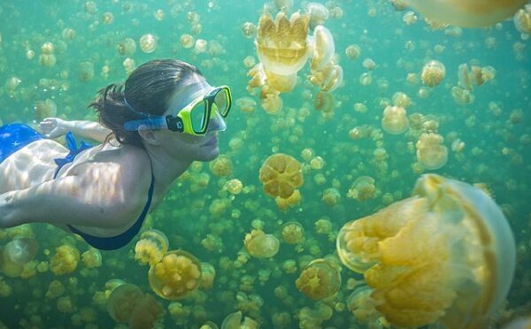 Indonesia Photo Gallery