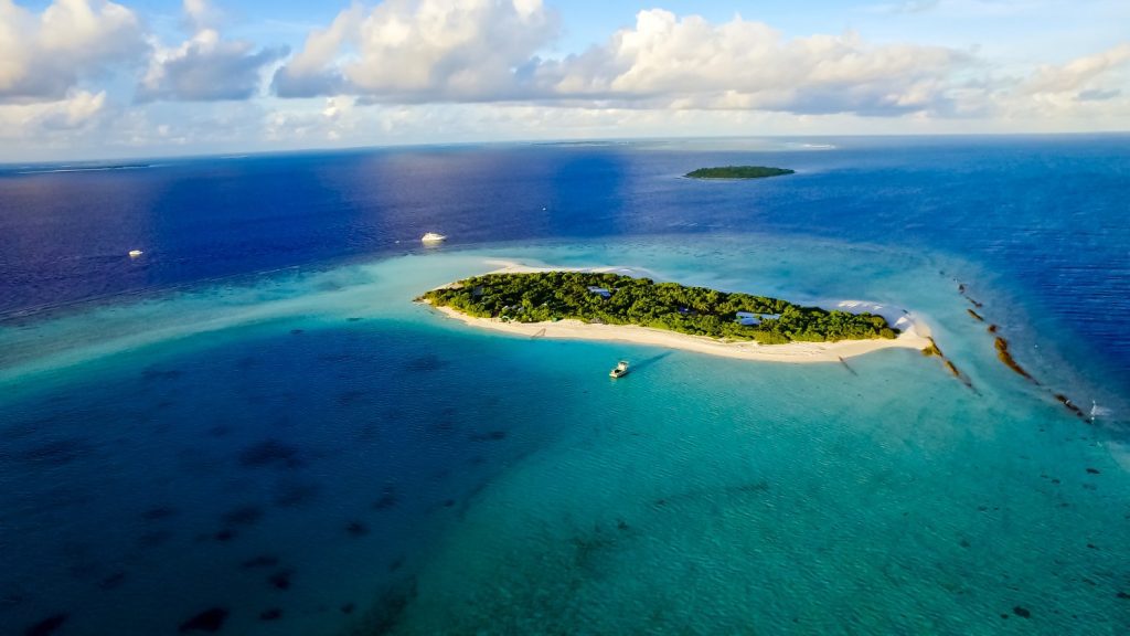 coral status maldives