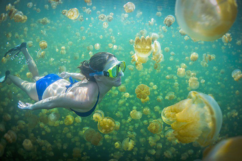 | Explorer Ventures Fleet® Liveaboard Diving