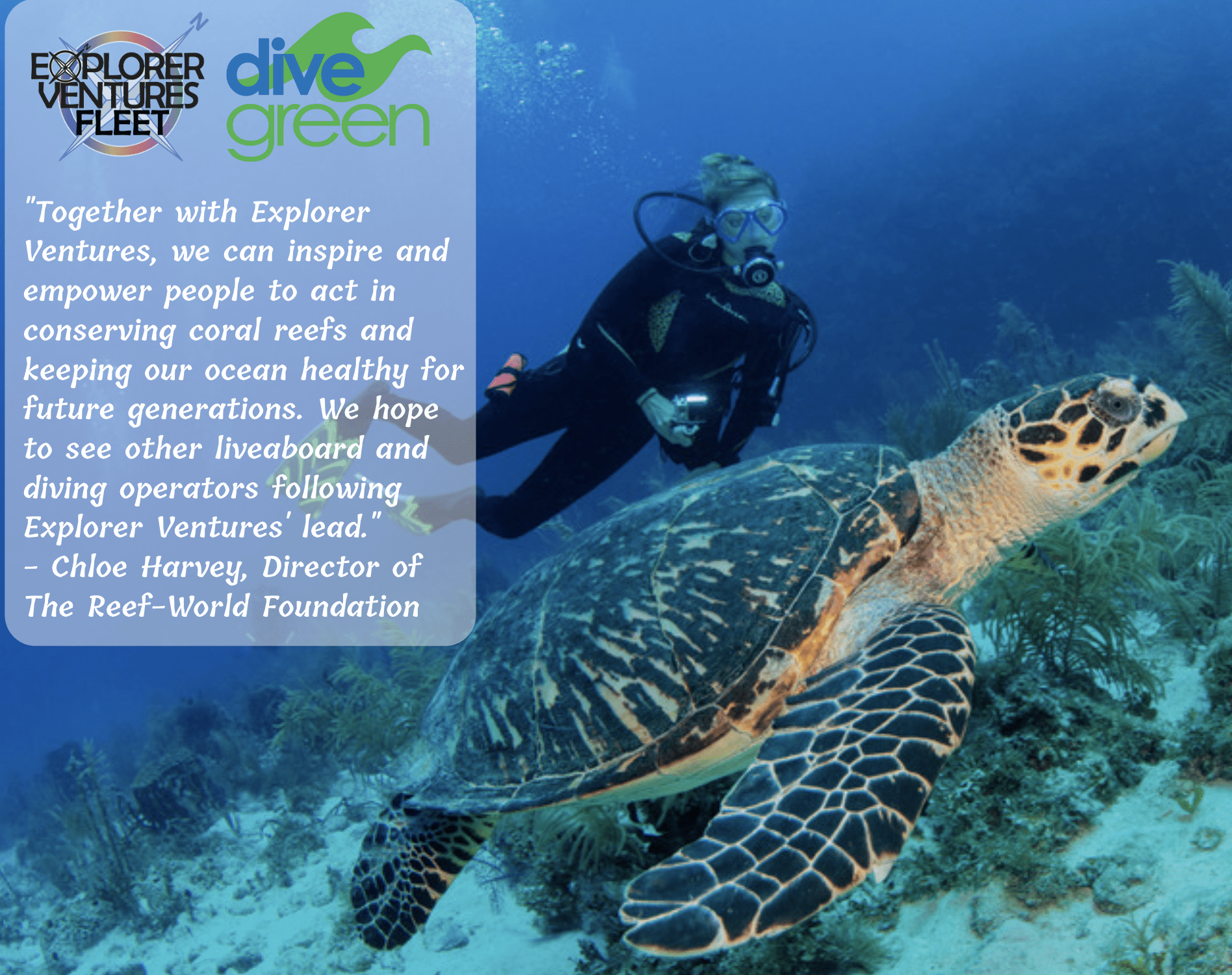 green sustainability dive green