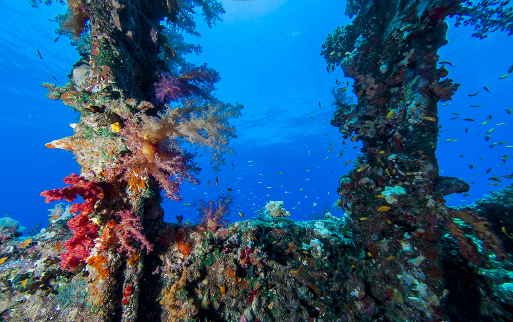 Famous Wrecks of the Northern Red Sea | Explorer Ventures Fleet® red sea diving review