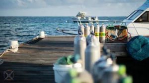 scuba diving caribbean vacation packages
