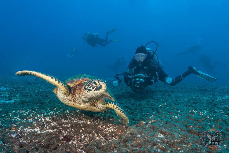 best diving in the caribbean islands scuba destinations