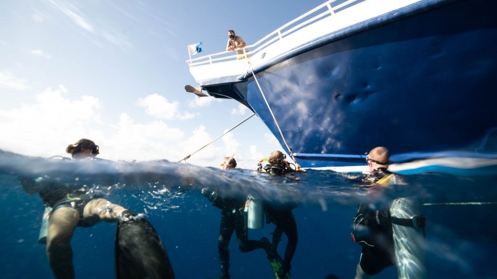 Dive, Dive, Dive! This is not a drill. | Explorer Ventures Fleet® Book Your Next Liveaboard Dive | Explorer Ventures