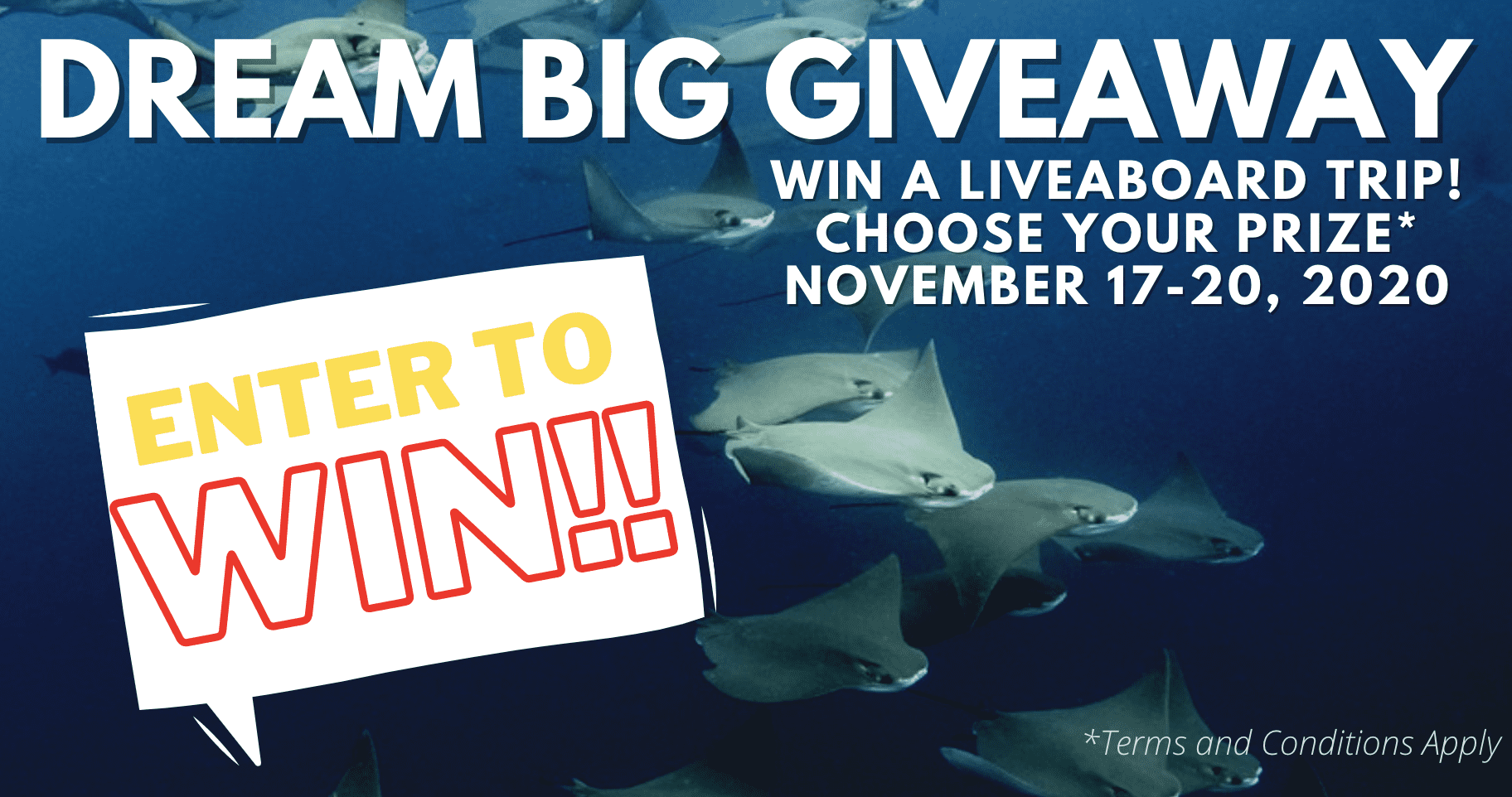 DEMA Dream Big Giveaway - Explorer Ventures