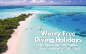 YOS Christmas Offer | Explorer Ventures Fleet® Liveaboard Diving