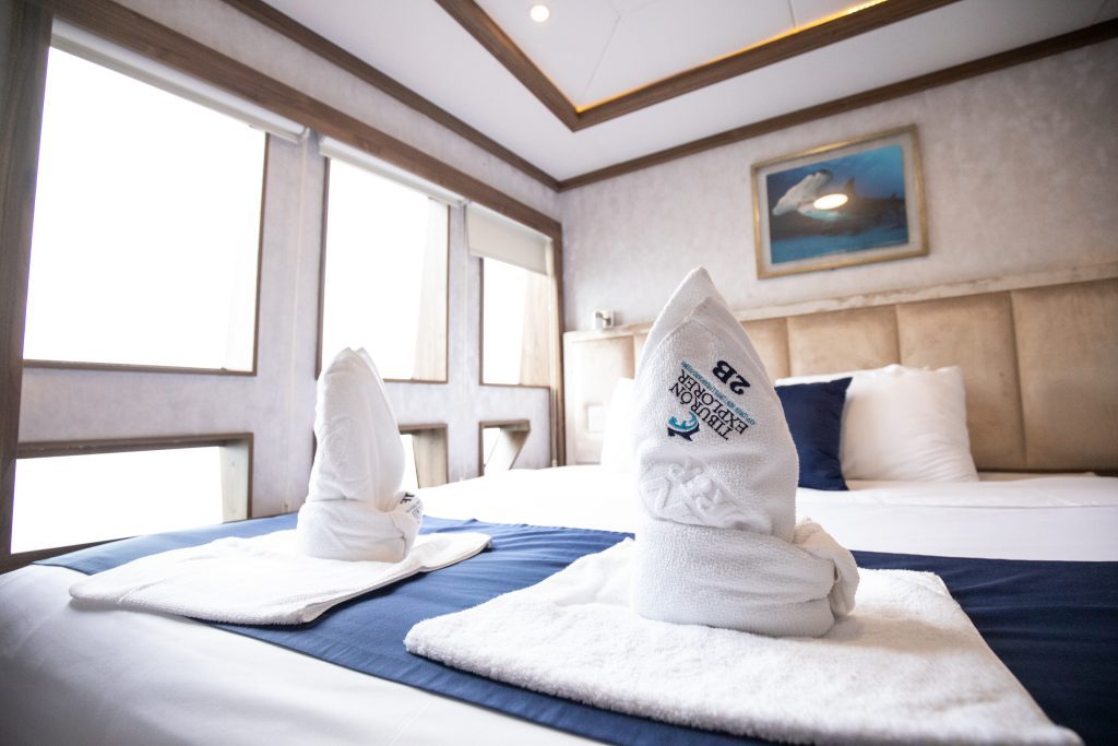 5 Reasons divers love Tiburon Explorer® | Explorer Ventures Fleet® Tiburon Explorer State Room | Explorer Ventures