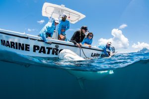 Saba Bank 1 2021 | Explorer Ventures Fleet® Liveaboard Diving