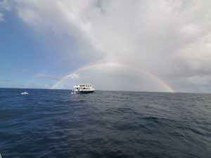 Saba Bank 3 2021 | Explorer Ventures Fleet® Liveaboard Diving