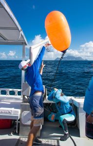 Saba Bank Ball throw 2021 | Explorer Ventures Fleet® Liveaboard Diving