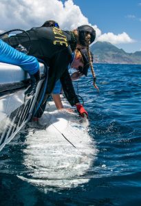 Saba Bank Sharks 2021 | Explorer Ventures Fleet® Liveaboard Diving