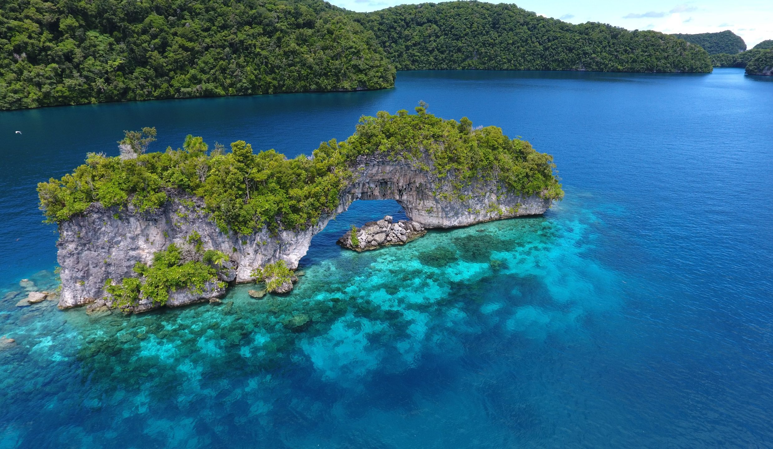 Palau Liveaboard Diving Explorer Ventures Fleet®
