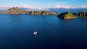 Dive Liveaboard Savings - Blue Manta Liveaboard