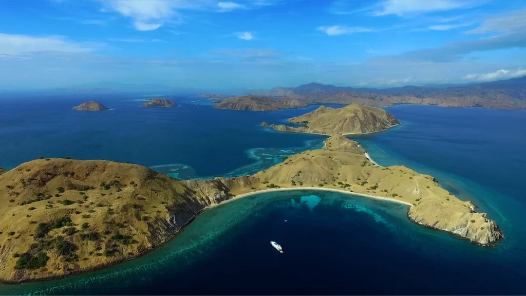 LIveaboard Dive for Adventure. Blue Manta