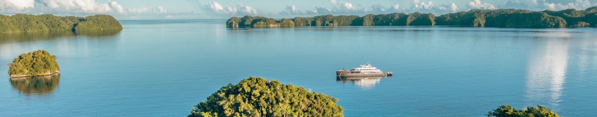Liveaboard diving deals and discounts - book a trip