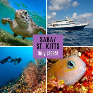 Saba/St.Kitts - 2024 Year of Savings Specials