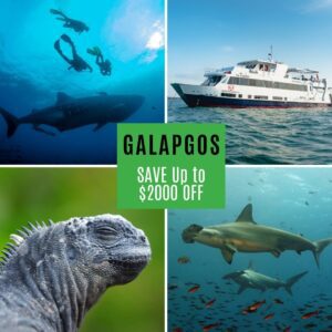 Galapagos - 2024 Year of Savings Specials