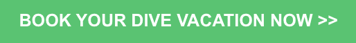 Book Now Button | Explorer Ventures