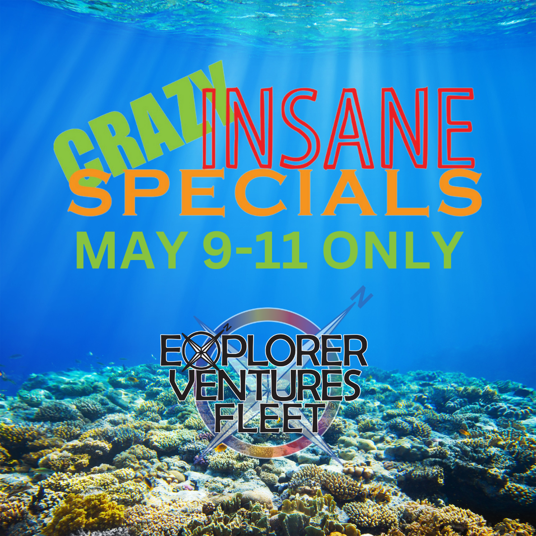 EV Crazy Insane 2023 | Explorer Ventures Fleet® Liveaboard Diving
