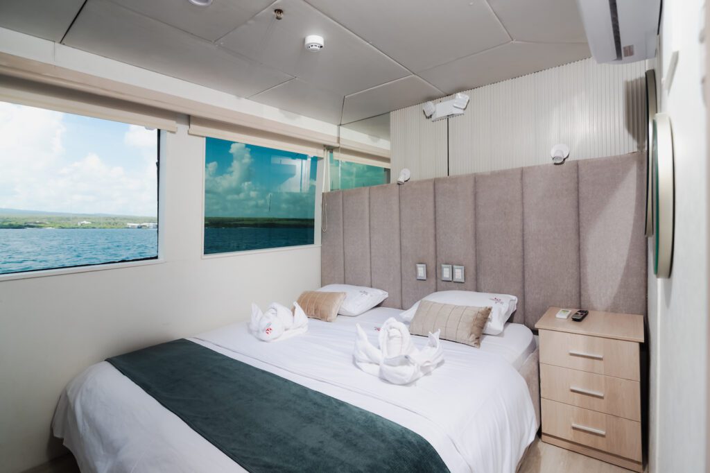 Why Choose Us | Explorer Ventures Fleet® Humboldt Explorer 2023 Humboldt 2023 4 | Explorer Ventures Fleet® Liveaboard Diving