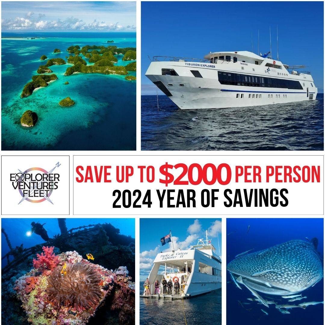 MHG Explore Squares1 | Explorer Ventures Fleet® Liveaboard Diving