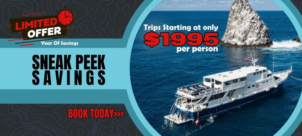 Sneak Peek Year of Savings specials - 2024/2025