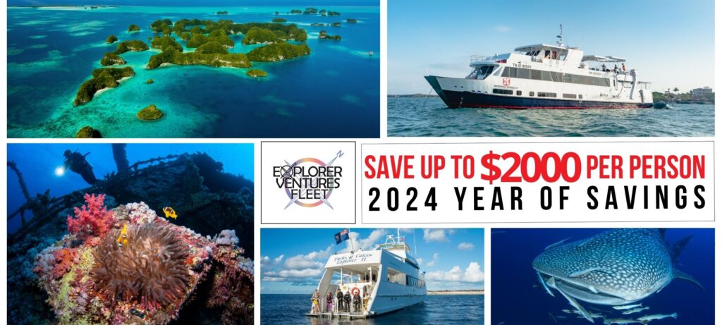 MHG Website Slider | Explorer Ventures Fleet® Liveaboard Diving