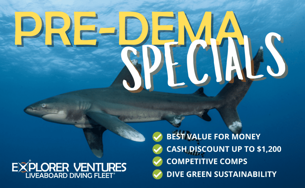 Pre Dema 2024 1 | Explorer Ventures Fleet® Liveaboard Diving