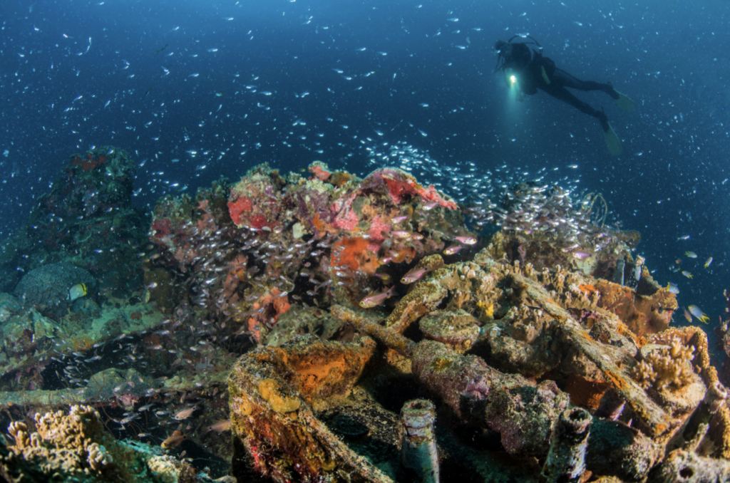 Screenshot 2024 04 03 at 4.48.51 PM | Explorer Ventures Fleet® Liveaboard Diving