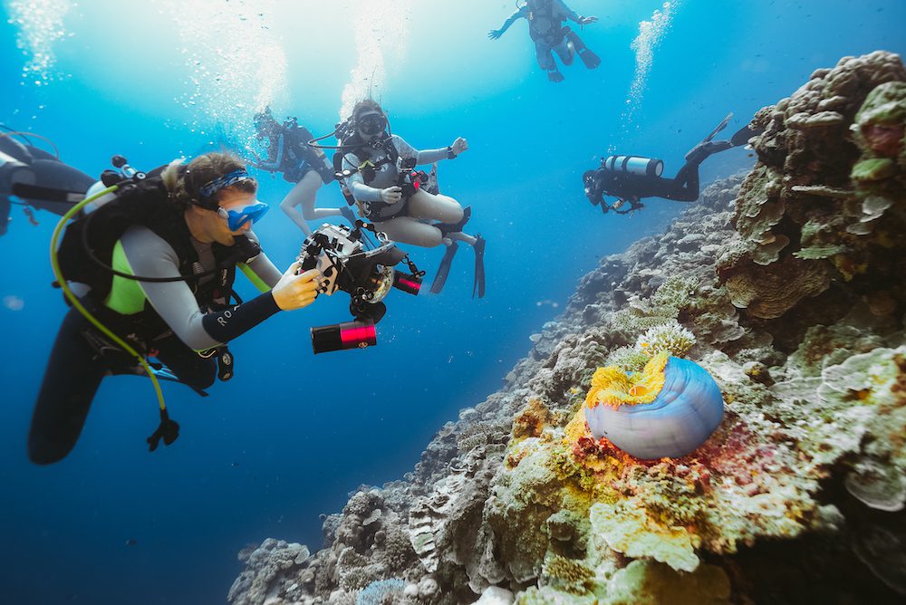 Discounts | Explorer Ventures Fleet® People Diving 02211 | Explorer Ventures Fleet® Liveaboard Diving