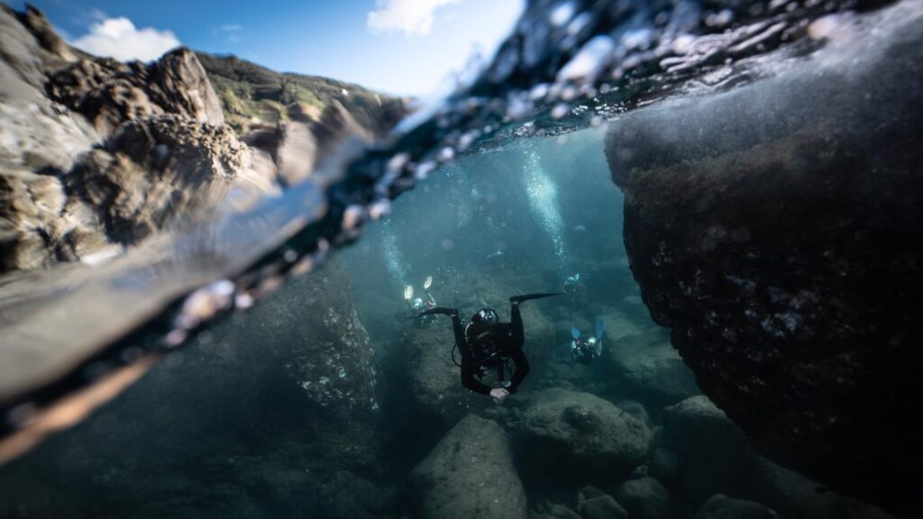Questions on LIveaboard Diving
